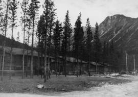 Early Pan-Abode Houses, Cassiar Townsite