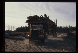 Woods Division - Hauling - Fully loaded logging truck passing decks of logs