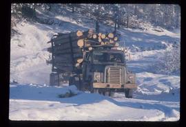 Woods Division - Hauling - Fully loaded logging truck