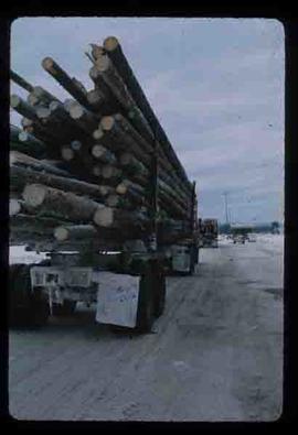 Woods Division - Hauling - Fully loaded logging truck