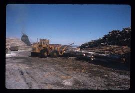 Woods Division - Logs/Log Decks - Loader at the Upper Fraser decks