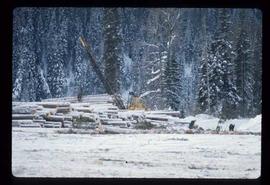 Woods Division - Logs/Log Decks - Crane decking in winter