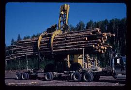 Woods Division - Letourneaus - Unloading logging trucks