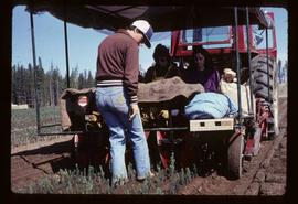 Reforestation - Willow Canyon Nursery - Transplanting seedlings by machine