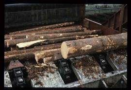 Houston Sawmill - General - Outfeed to merchandiser for logs continuing on for processing