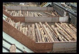 Houston Sawmill - General - Bins for sorting logs by diameter