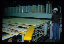 Houston Sawmill - General - Lumber stacking