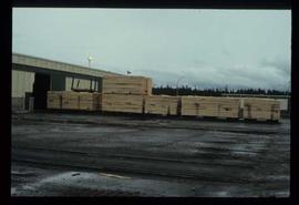 Houston Sawmill - General - Stacks of lumber - rough dry