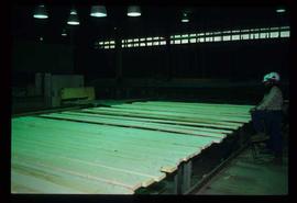 Houston Sawmill - General - Lumber transfer infeed to trimmer of planer