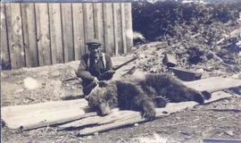 Bear killed at Kinsquit(?)