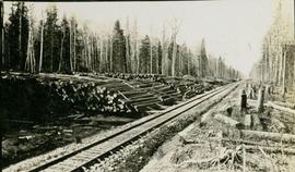 A log yard next to some railroad tracks