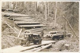 Loading logs on truck from skidway - logs up to 32 feet in length