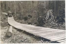 Logging - Giscome B.C. Plank truck road - also road under construction showing sills and cribbing