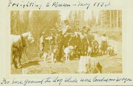 Freighting (?) to Manson Creek - for bare ground the dog sleds were loaded on wagon
