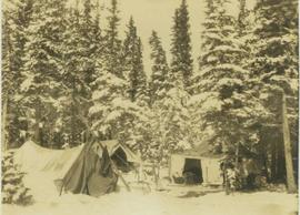 Camp set up within a snowy forested landscape