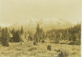 Rocky Mountain vista seen across a forested plateau