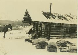 Ranger Alex Nelles' log cabin at Willow Creek