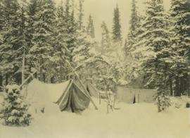 Snow-covered campsite situated in a forest clearing