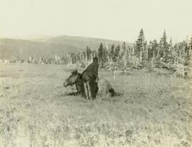 Unidentified crewman tending to a horse stuck in a muddy bog
