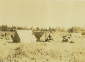 Camp site situated on a grassy field