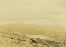 Man and horse stand alone on mountain slope