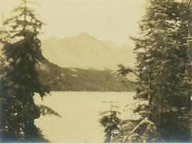 Lake as seen through the trees