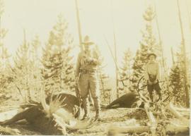 Carrol Paul and George Bates standing beside two felled bull moose