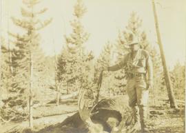 Carrol Paul stands with rifle on top of felled bull moose