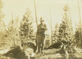 Carrol Paul stands beside a felled bull moose while George Bates sits on top of a felled bull moose
