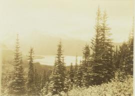 Wapiti Lake and mountain range as seen from a forested slope