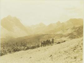 Three crew men search for game through binoculars while their horses stand by