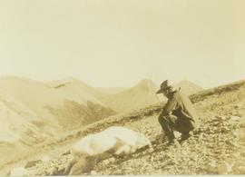 Prentiss Gray kneeling beside a felled mountain goat lying on a rocky slope
