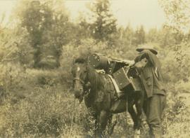 Prentiss Gray dealing with his camera equipment while it is loaded onto a pack horse