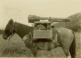 Side profile of pack horse and saddle especially designed for Gray's camera equipment