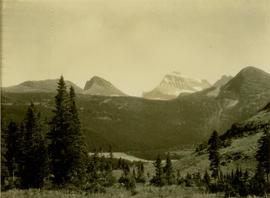 Forested valley surrounding Dimsdale Lakes rising to snow capped peaks of Mt. Ida