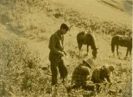 (L-R) Billy Taylor, Johnny Napolean and Pete Callao taking a break on a grassy slope