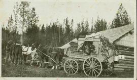 Stage coach on the Cariboo Trail