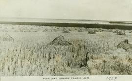 Bear Lake, Grand Prairie, Alta