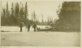 Three men with backpacks, snowshoes and packdogs stand in a snowy forest clearing