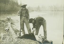 Two unidentified First Nations men working on a bear hide next to the Fraser River