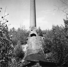 Hillside flue and stock of copper smelter in Greenwood