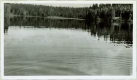 Shore of Summit Lake
