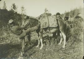 Unidentified men loading a pack horse: "Throwing the Diamond Hitch"