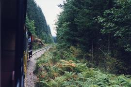 Alberni Pacific Railway tourist train