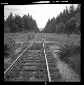 Esquimalt & Nanaimo Railway, Port Alberni
