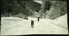 Dog running towards an unidentified woman on a snowy road