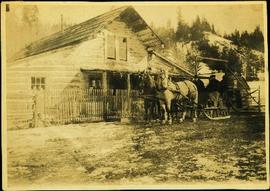 Horses & Sled at Alexandria Road House