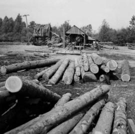 Small sawmill in South Westminster, Surrey