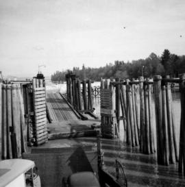 Albion Ferry approaching slip at Fort Langley, B.C.