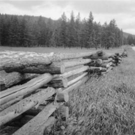 Log fence near Soda Creek